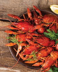 Annual Meeting Image Annual Meeting Crawfish Image
